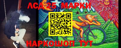 шишки Кингисепп