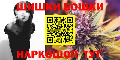 шишки Кингисепп
