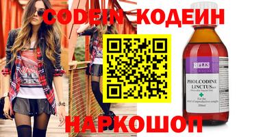 шишки Кингисепп