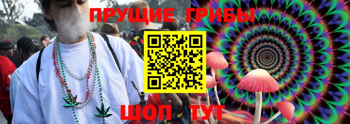 Галлюциногенные грибы прущие грибы  Вход с VPN  Ливны 